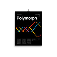 Polymorph Poster